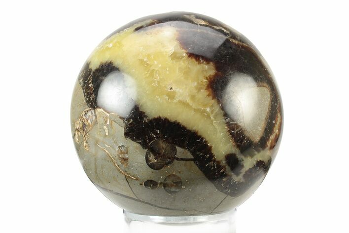 Polished Septarian Sphere - Madagascar #238987